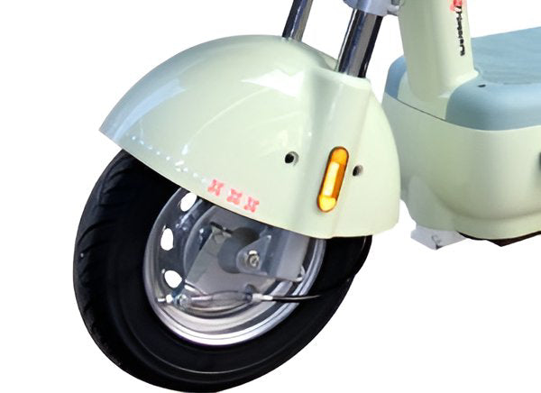 Motobicicleta Eléctrica TAILG 500w